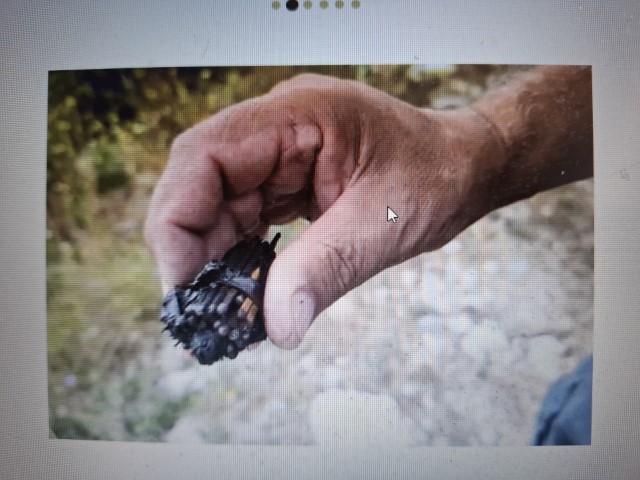 Pronađen snop šibica na požarištu između Omiša i Makarske